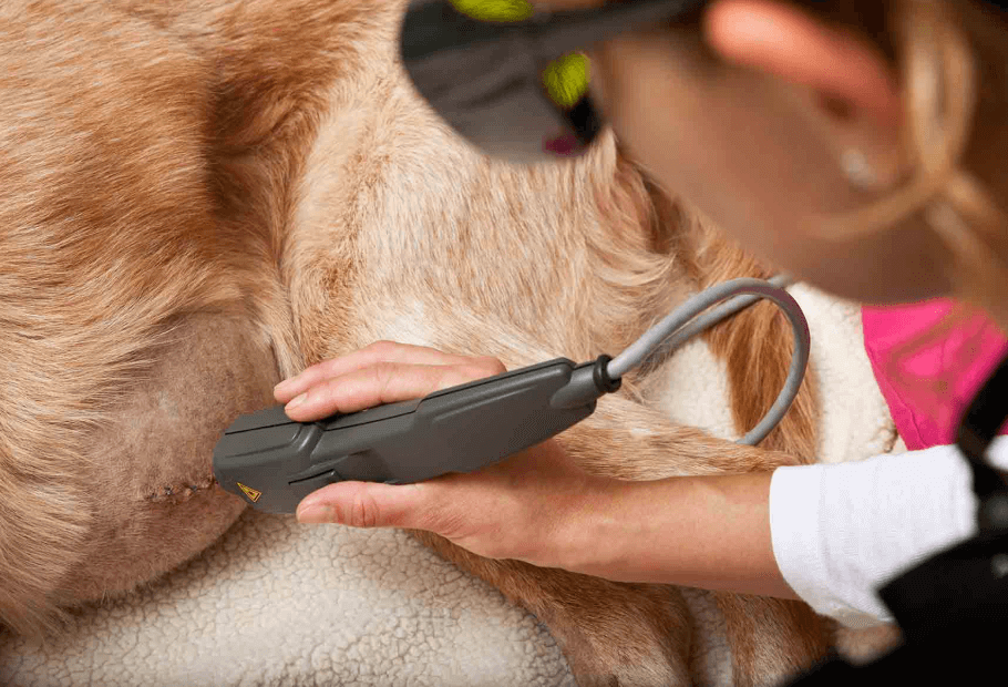 Laser Therapy