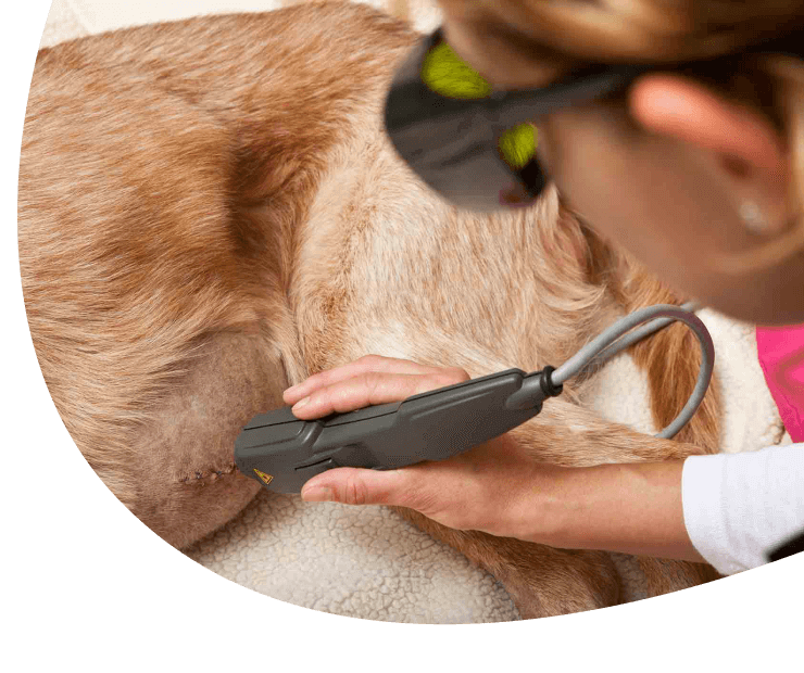 Laser Therapy
