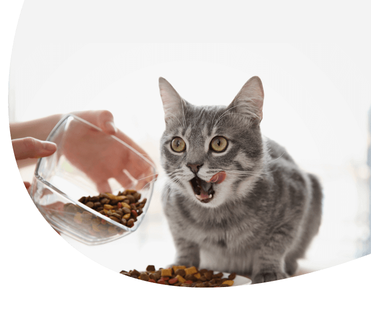 Dietary Counseling